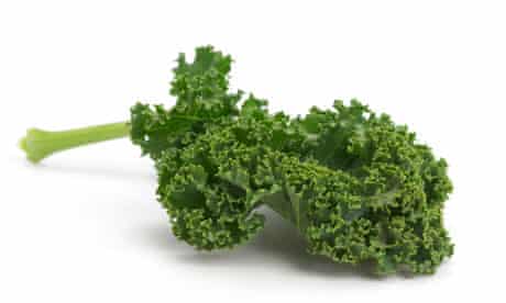 Green Curly Kale. Image shot 2008. Exact date unknown.