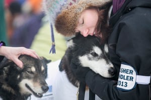 Iditarod dog race : The Iditarod dog sled race in Anchorage