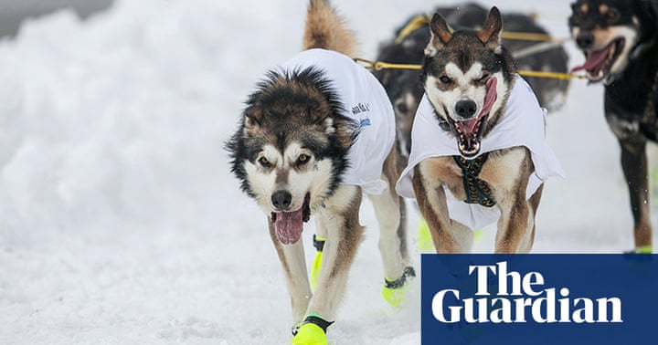 why does it take so long for me to write an essay