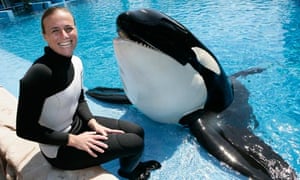brancheau dawn whale tilikum seaworld killer apr humane captive regime claims documentary turned into
