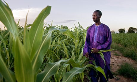 Souaibou Toure, head of a cereal cooperative in Mali