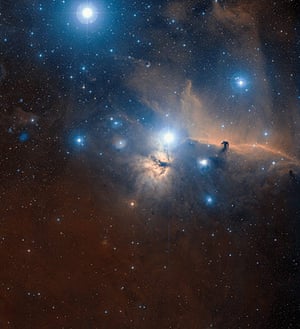Cosmic Gallery: Horsehead nebula