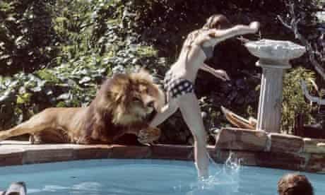 Griffith & Neil The Lion
