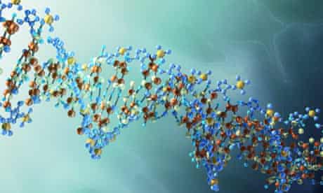 Illustration of a strand of DNA
