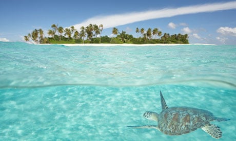 island with turtle