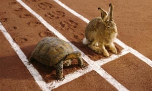 Hare and tortoise on running track