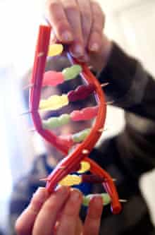 How to make a jelly baby DNA molecule