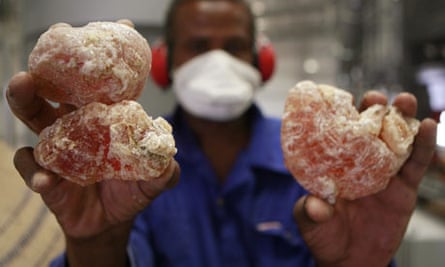 Worker holds gum arabic