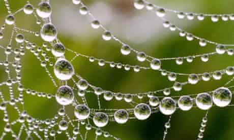 Eco Spirituality Towards A Values Based Economic Structure Leadership The Guardian Eco Spirituality Towards A Values Based Economic Structure Leadership The Guardian