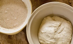 Hugh Fearnley-Whittingstall's sourdough starter