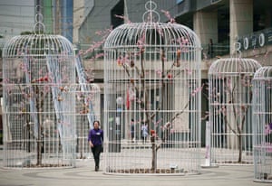 A woman walks past an installation of giant bird cages on a square in Nanjing, Jiangsu province, China. The cages containing artificial trees and birds were installed by the shopping mall which owns the square to promote environmentally friendly concepts to the public.