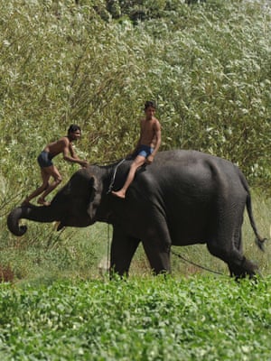Indian mahouts play with an elephant on a hot day  in New Delhi. Heatwave conditions continued in the Indian capital, with temperatures registering a record high for the month of May - 45.6 degrees celsius, a television report said. 