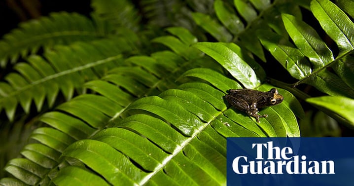 Rainbow Riches App Rainbow Riches App