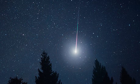 Spectacular meteors during a Leonid meteor shower in forest