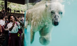 Continuing on a watery theme, schoolchildren and visitors get a close view of Inuka - the first Polar Bear born in the tropics - as seen through the viewing window of his enclosure during the launch of the Frozen Tundra Exhibit at the Singapore Zoo.