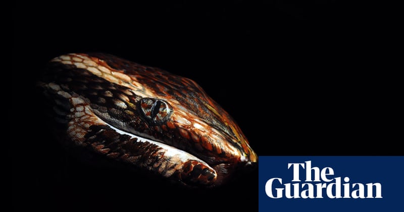 Victoria Gugenheim: Expressing science through bodypainting – in pictures