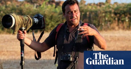 Wallpaper Bunga aster<br/> Wallpaper Bunga aster<br/>