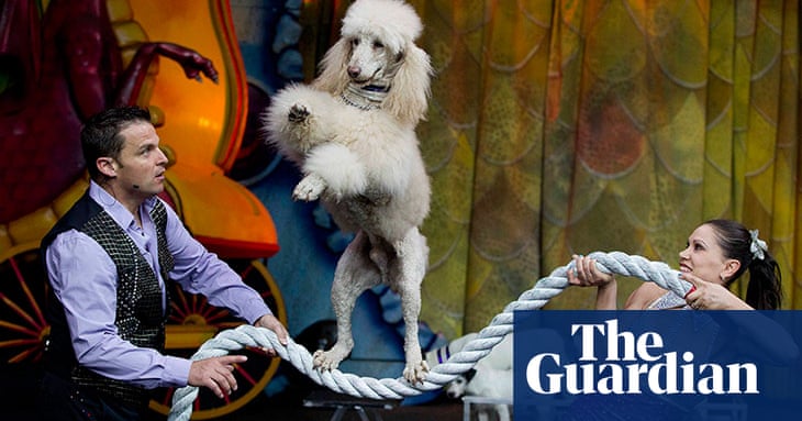 The Observer's 20 photographs of the week