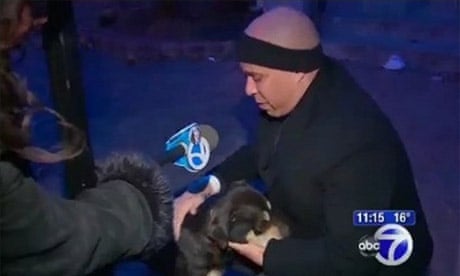 Cory Booker, mayor of Newark, rescuing a dog