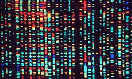 Human genes patent ruling: some clarity but real problem remains | Genetics | The Guardian