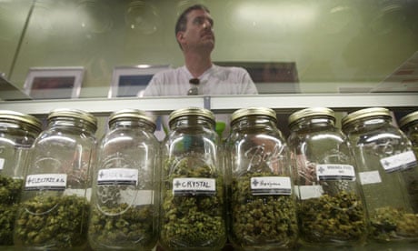 Medical marijuana dispensary in Los Angeles