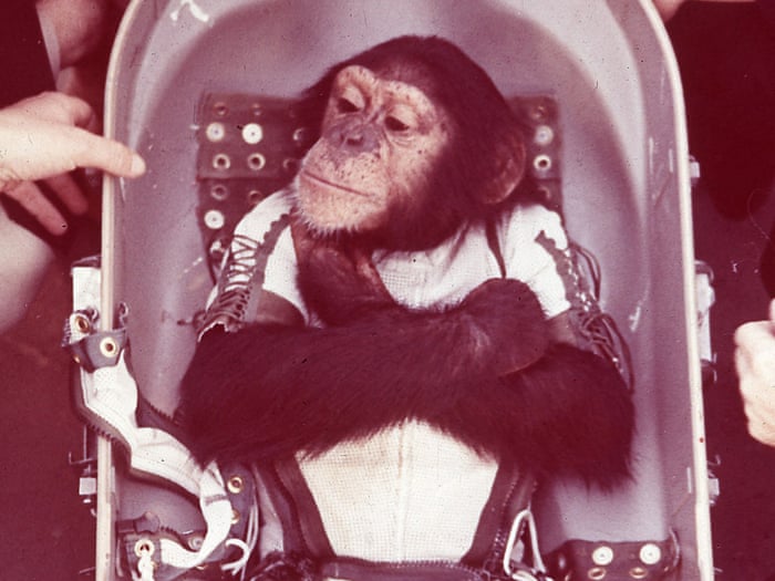 Monkey In Space Pictures From The Past Art And Design The