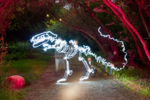 Light paintings: A T-Rex created using 170 second exposure