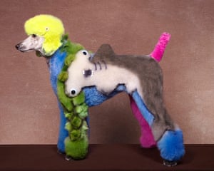Dog Grooming Competition In Pictures Life And Style