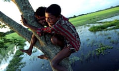 children climb a tree
