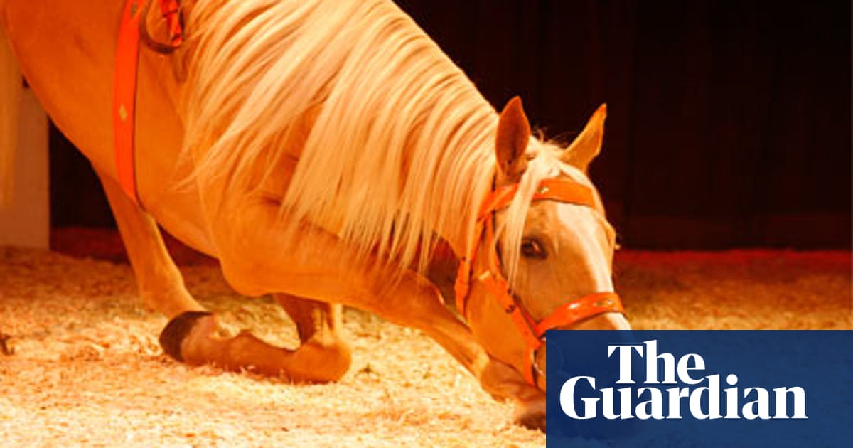 Your Stories Circus Horse Part 1 By Horselover3000 Children S