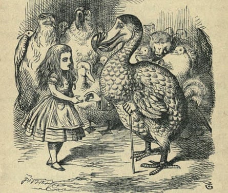 John Tenniel's engraving of the dodo from Alice's Adventures in Wonderland by Lewis Carroll