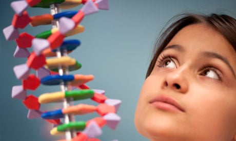A schoolgirl looks at a model of DNA