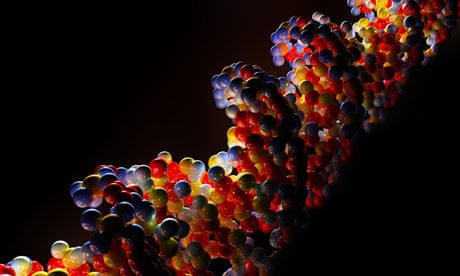 DNA strand close-up CG illustration. Image shot 03/2011. Exact date unknown.