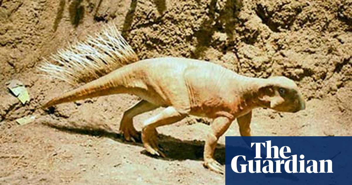 Four legs bad, two legs good? Changing posture in a growing dinosaur |  Dinosaurs | The Guardian
