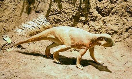 Four legs bad, two legs good? Changing posture in a growing dinosaur |  Dinosaurs | The Guardian