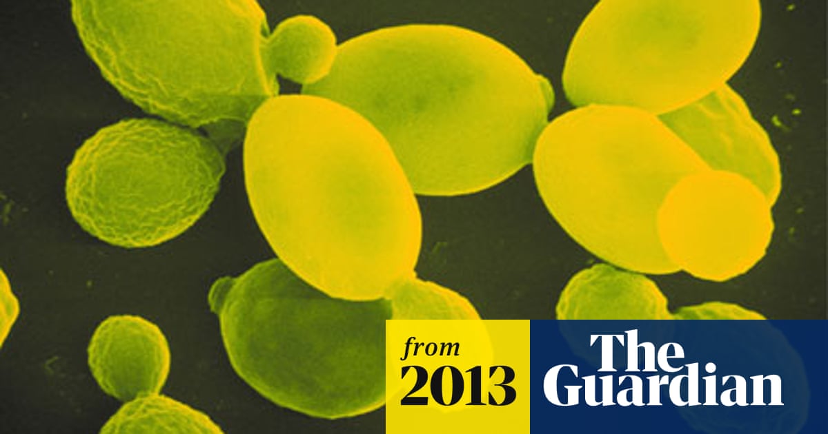 UK joins project to create synthetic organism from scratch