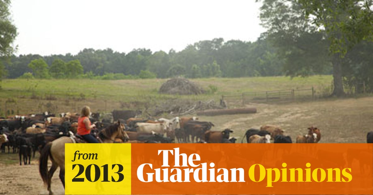 I Am A Us Cattle Rancher What Do You Want To Know Amelia Kent