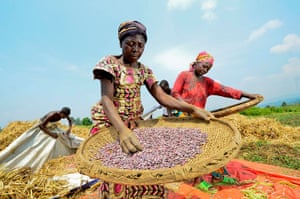 Ciat mature Ciat mature