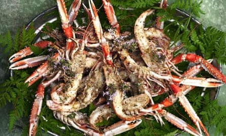 Grilled langoustines, rosemary butter