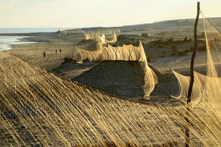 A line of nets erected along coastal dunes to catch migrating Common Quail (Coturnix coturnix) along the Egyptian Mediterranean seashore, autumn 2012. Photo by Holger Schulz/NABU