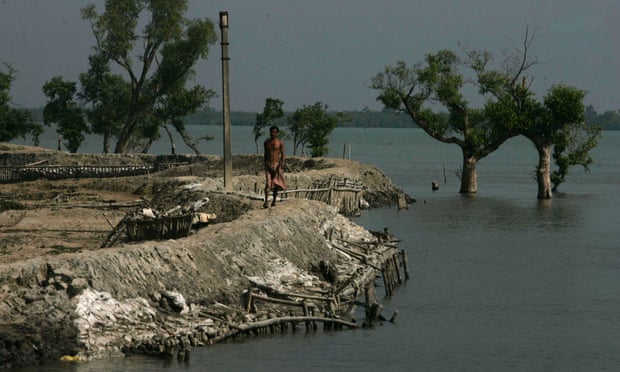 A villager walks on an embankment as trees are seen submerged in the Sundarban delta, India. Scientists have warned of alarming rise in temperatures in the Bay of Bengal due to climate change which could inundate coastal islands.
