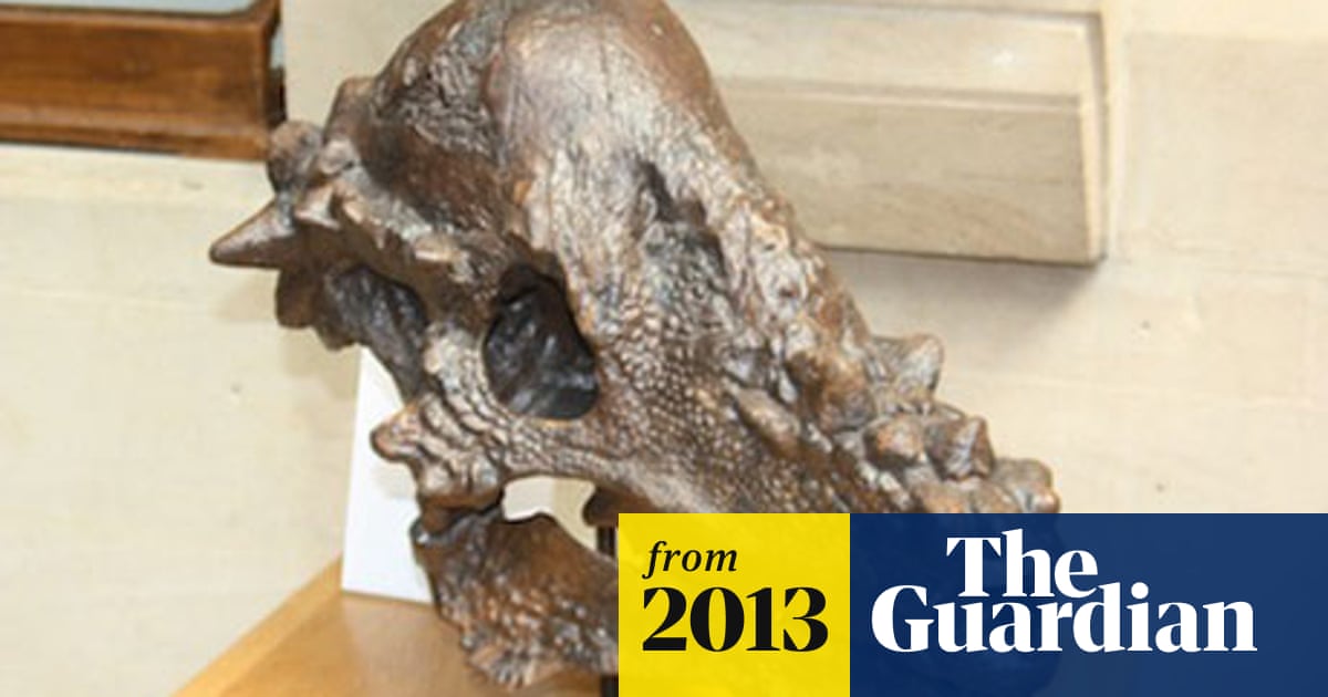 Head-to-head record suggests dinosaurs were headbangers | Dr Dave Hone