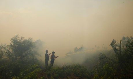 Firefighters spray water to burning palm oil trees