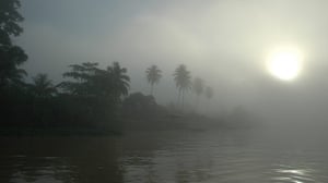 Your Pictures - Tropical: river at dawn with palm trees sun rising 