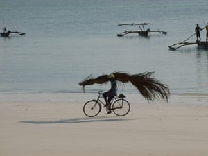Your Pictures - Tropical: Man cycling on beach carrying palm leaves on shoulder