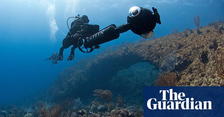 Virtual diving: Catlin Seaview Survey's underwater panorama – in ...