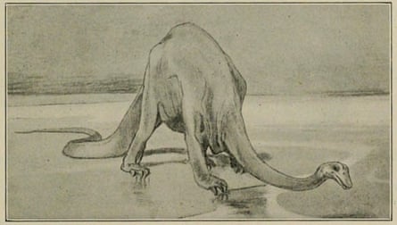 Sketch of Diplodocus from a 1905 edition of The Weekly Graphic