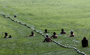 China algae: A group swim at an algae 