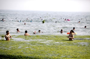 China algae: Tourists swim in seawater 