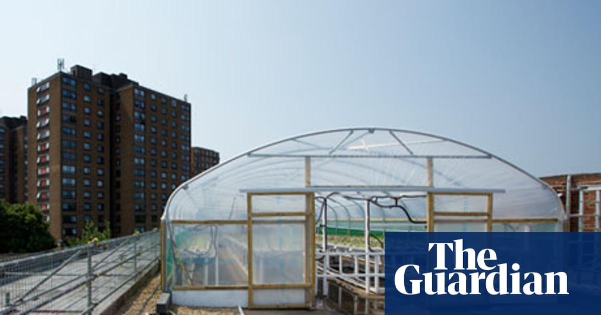 Manchester international festival: an urban farm feeding a deprived area